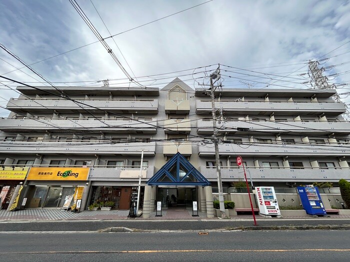 津田沼ﾀﾞｲｶﾝﾌﾟﾗｻﾞｼﾃｨ(311)の物件外観写真