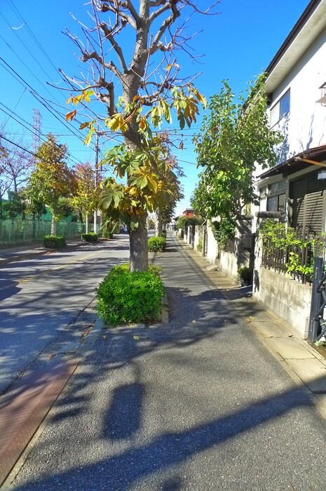 渡辺ハイツの物件外観写真