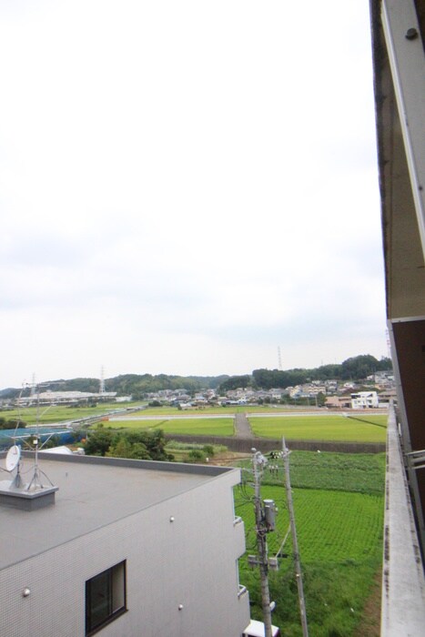 ＴＯＰ長津田ＮＯ．２の物件内観写真