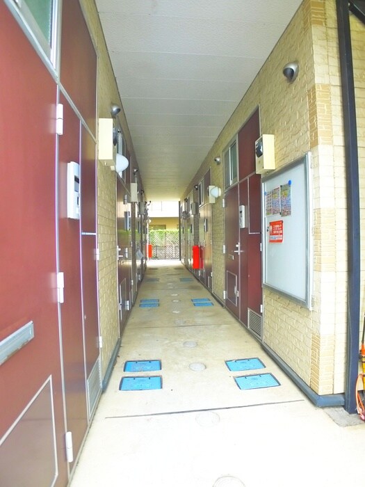 フェリオ柏の物件外観写真