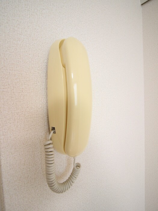 マルベリーの物件内観写真