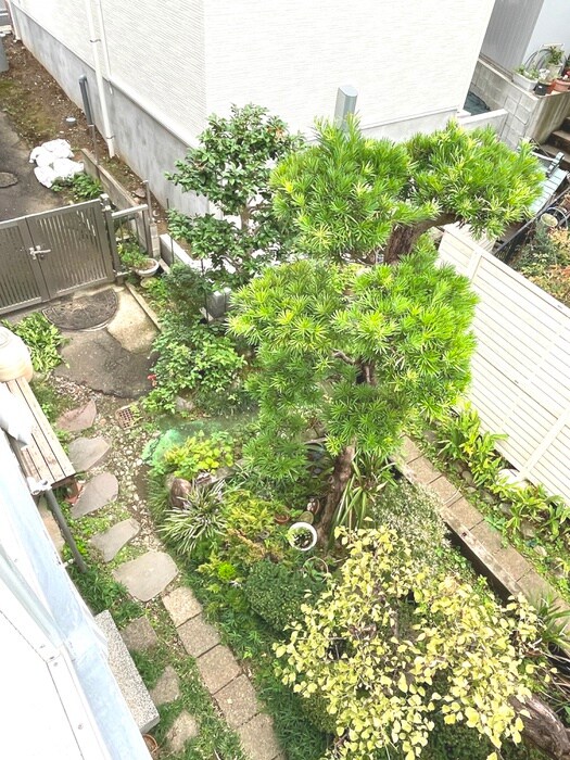 ＣＯＬＬＩＮＡ　ＶＥＲＤＥの物件内観写真