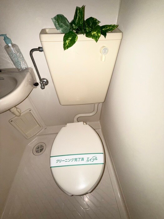 Ｃｈｅｒｒｙ　Ｈｅｉｍの物件内観写真