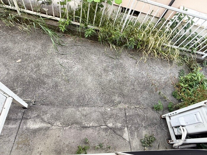 Ｃｈｅｒｒｙ　Ｈｅｉｍの物件内観写真