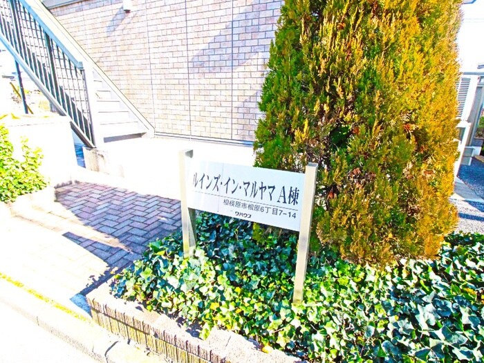 ルインズ・イン・マルヤマＡの物件外観写真