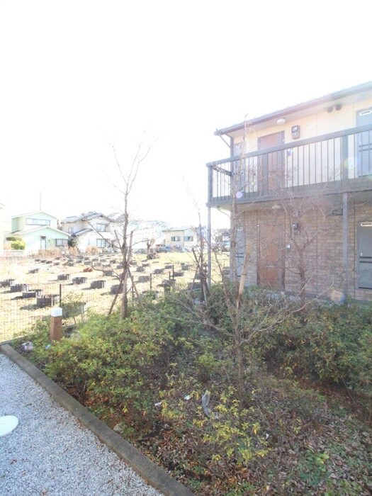 ルインズ・イン・マルヤマＡの物件内観写真