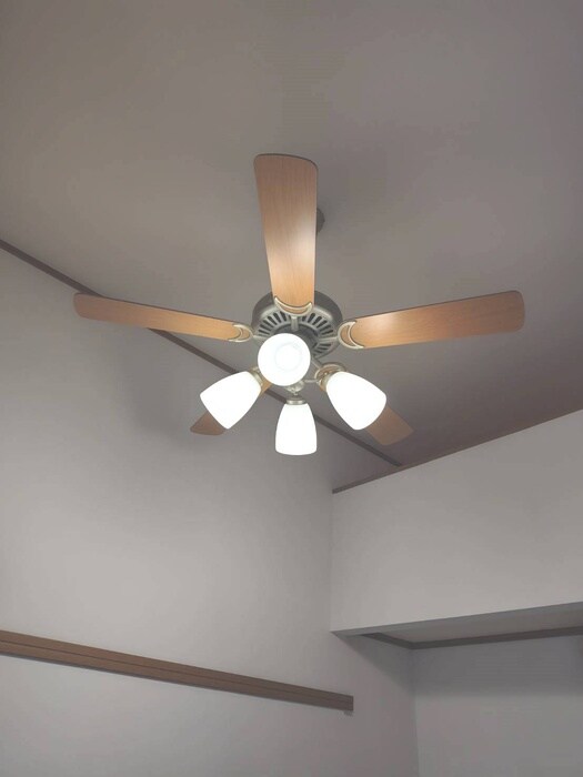 ハウスルピナスの物件内観写真