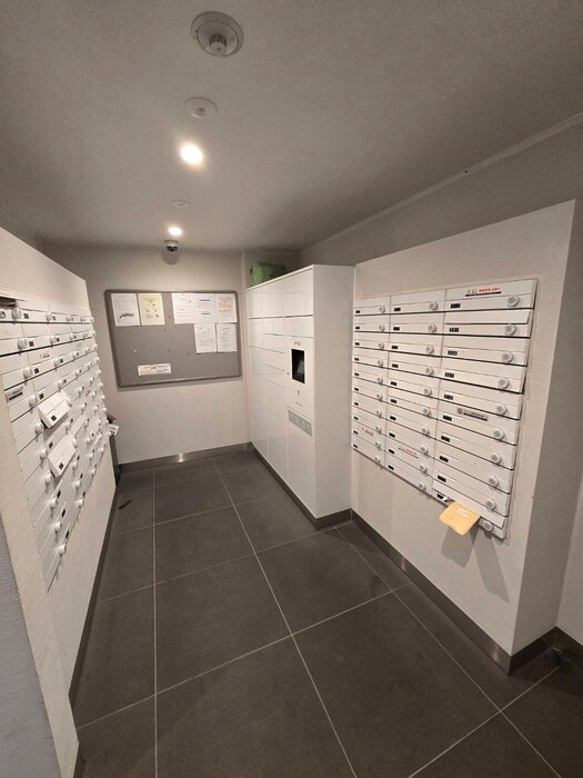 ALTERNA神楽坂Ⅱ（501）の物件外観写真