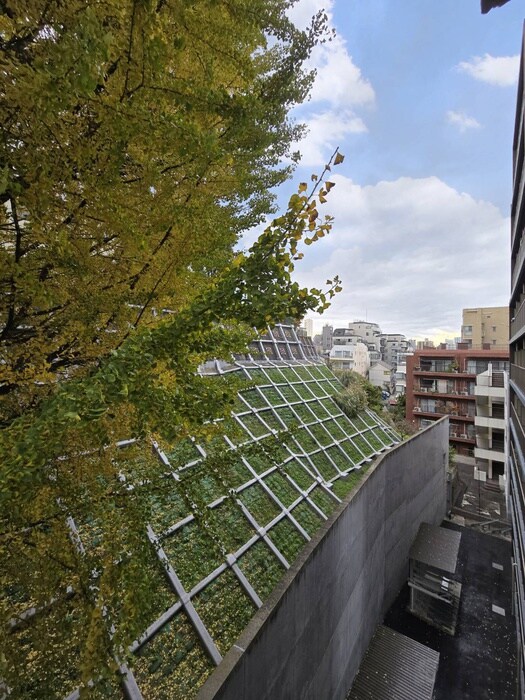 ALTERNA神楽坂Ⅱ（501）の物件内観写真