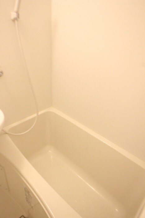 アザーレ・パッシオ長津田の物件内観写真