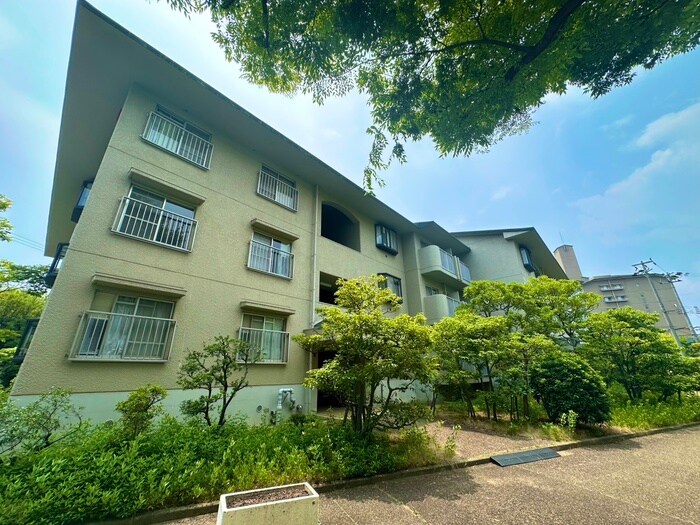 芦屋緑１住宅３号棟（２０４）の物件外観写真