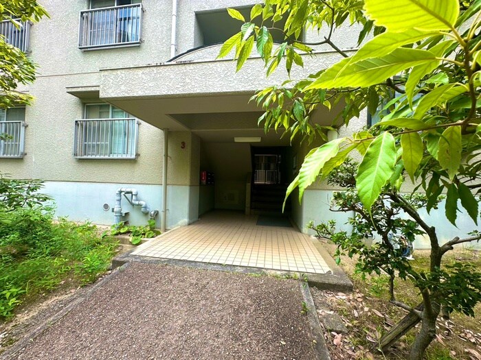 芦屋緑１住宅３号棟（２０４）の物件外観写真