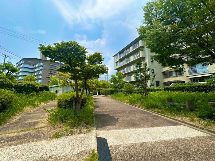 芦屋緑１住宅３号棟（２０４）の物件外観写真