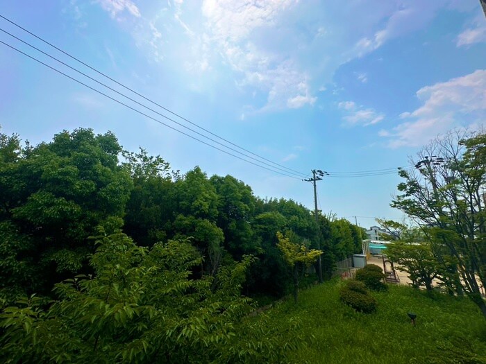 芦屋緑１住宅３号棟（２０４）の物件内観写真