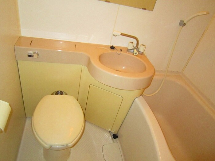 MIRUS aikawaの物件内観写真