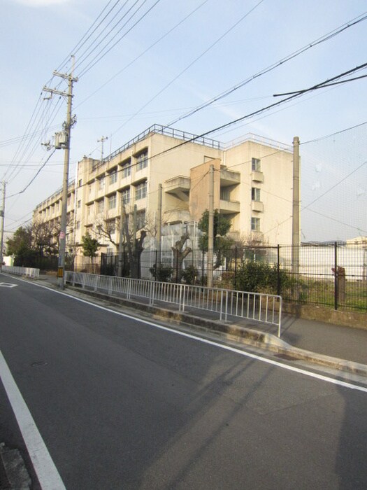 アルカディアIIの物件外観写真