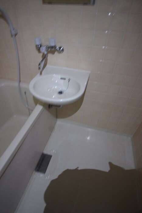 アピア幸和の物件内観写真