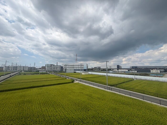 フィエルテの物件内観写真