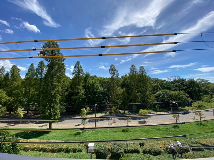 望園荘ウィル南田辺５丁目の物件内観写真