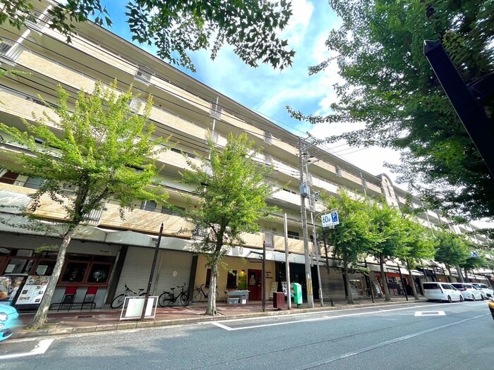 アルパ芦屋１号棟（５１１）の物件外観写真