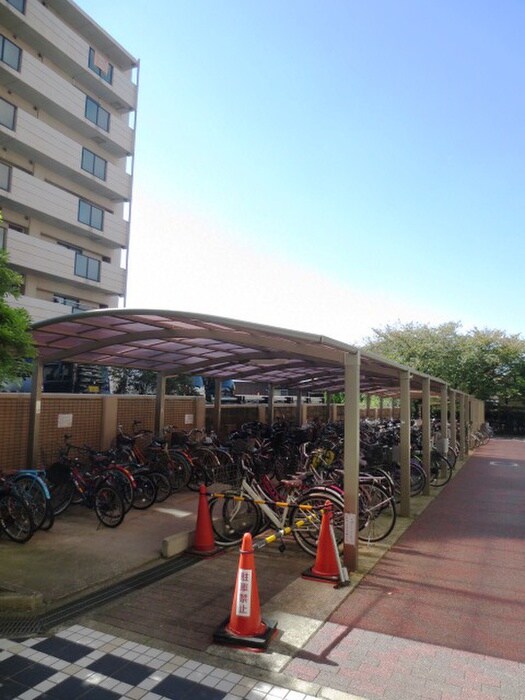 朝日ﾌﾟﾗｻﾞｳｨﾝﾃﾞｨｰｺｰﾄ枚岡(1006)の物件外観写真