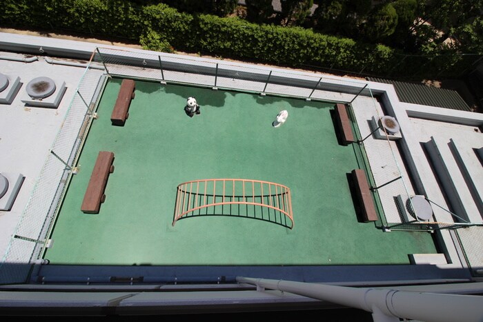 グランディ平井の物件外観写真