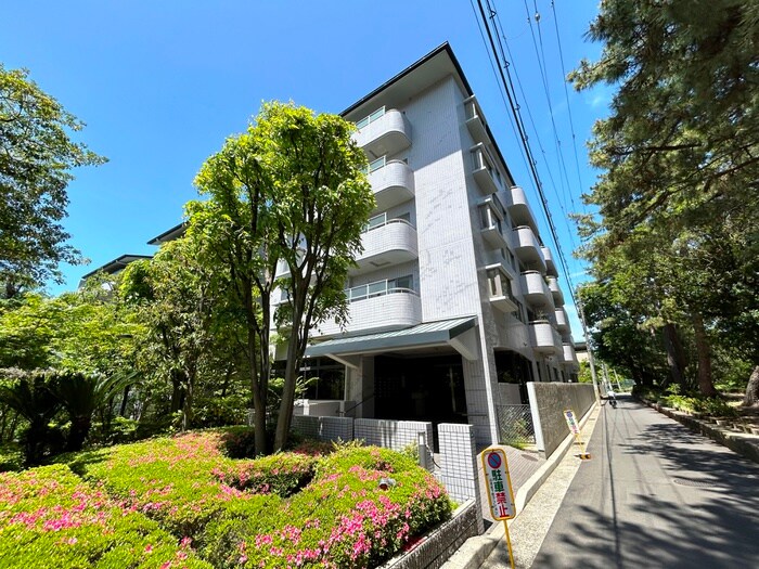 白鷹松下町マンションの物件外観写真