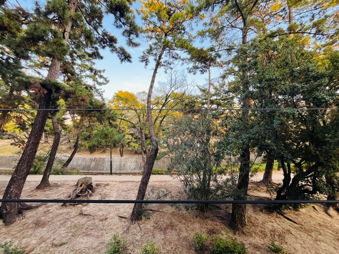 白鷹松下町マンションの物件内観写真