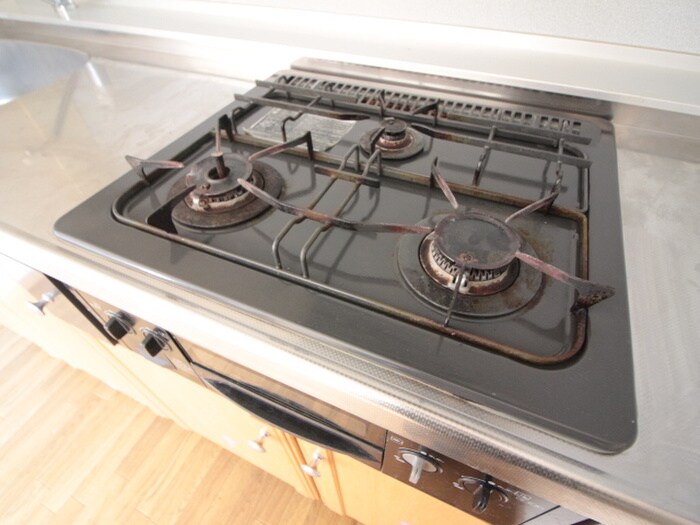 ハイツ・ツゥ・サティの物件内観写真