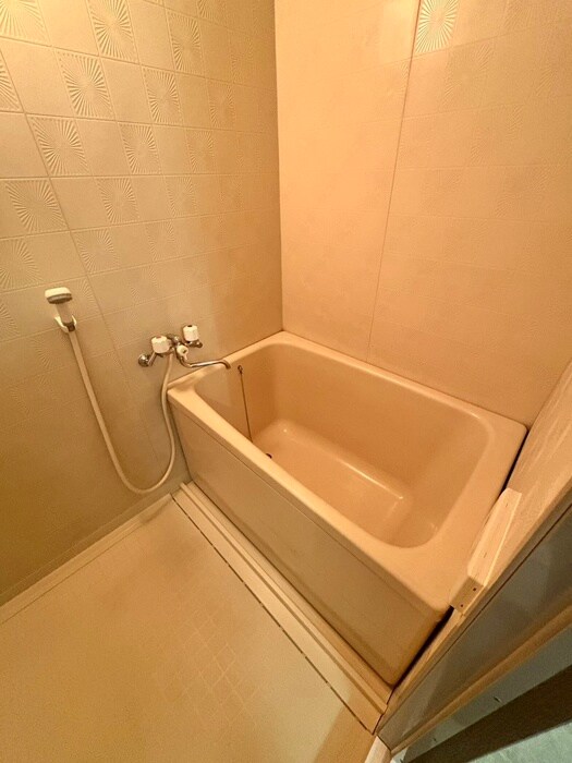 ＨＡＹＡＳＨＩ　ＨＡＩＴＳＵの物件内観写真