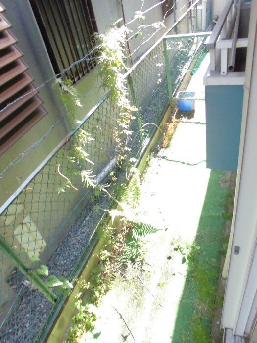 チェリーハイツ香里の物件内観写真