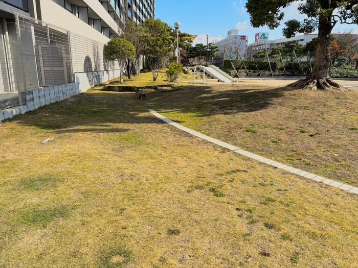 ﾊﾟ-ｸﾎ-ﾑｽﾞ伊丹稲野ｶﾞ-ﾃﾞﾝ(736)の物件外観写真