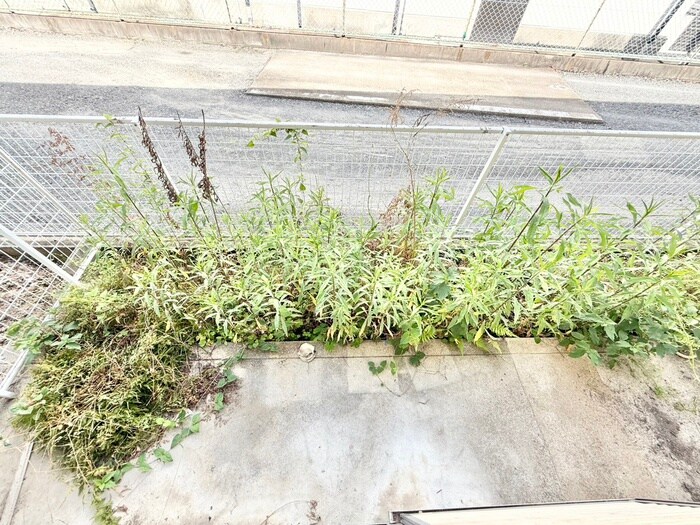 タウニィ陽光の物件内観写真