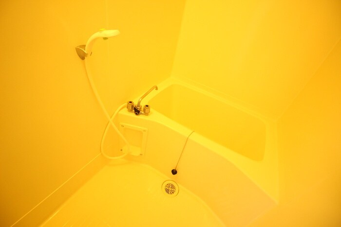 ｸﾞﾘｰﾝﾊｲﾂ星見の物件内観写真