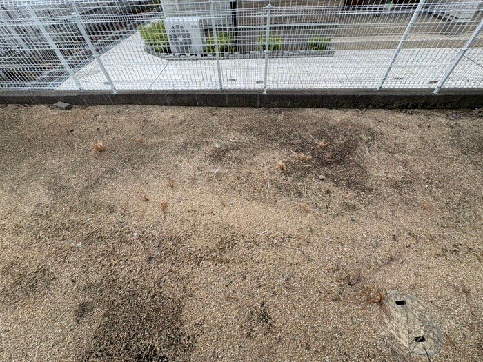 クイ－ンズコ－トＣ棟の物件内観写真