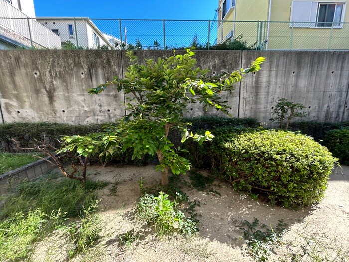 高塚増田ﾊｲﾂの物件内観写真