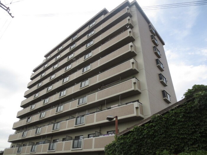 ﾒｿﾞﾝ菱江の物件外観写真