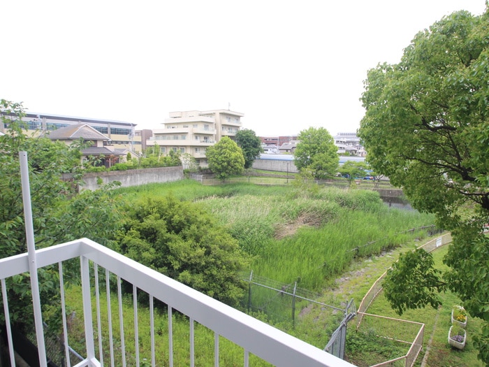 フラワー芦屋の物件内観写真