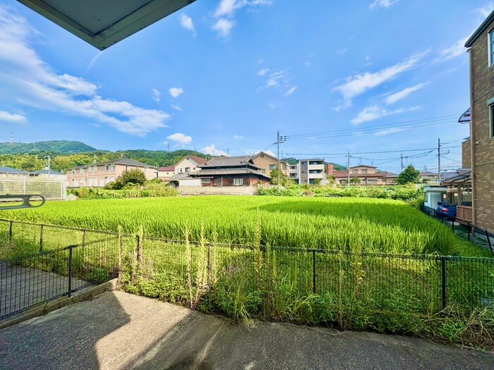 ヴェルデュ－ル・ピノの物件内観写真