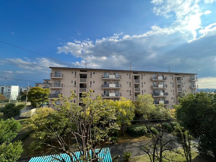 男山第4住宅第311号棟（302）の物件内観写真