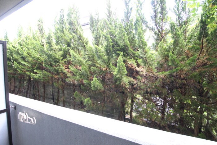 きんこん館の物件内観写真