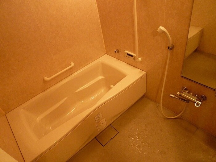 ヴェルジコリ－ナの物件内観写真