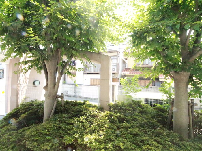 ドミトリーインテリジェンスの物件内観写真