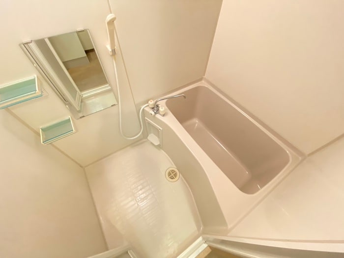 カーサフォレスタⅡの物件内観写真