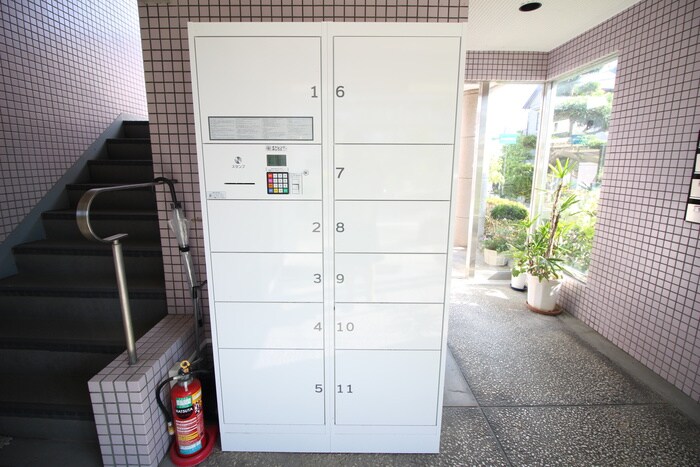 藤ノ木ハイツの物件外観写真