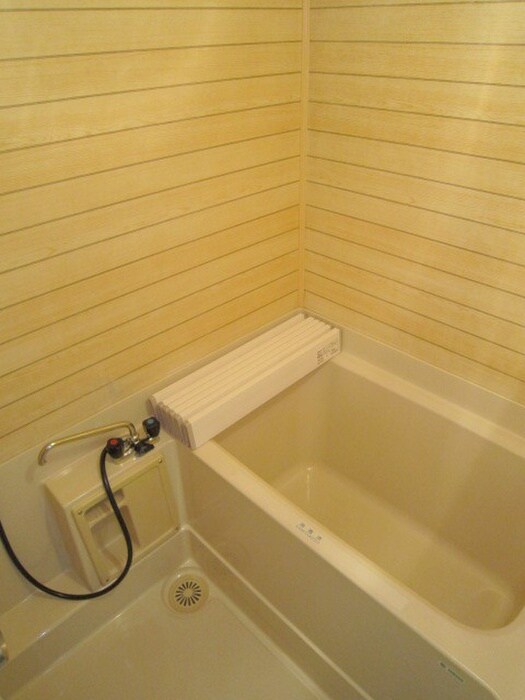 ブエナビスタ京都上鳥羽の物件内観写真