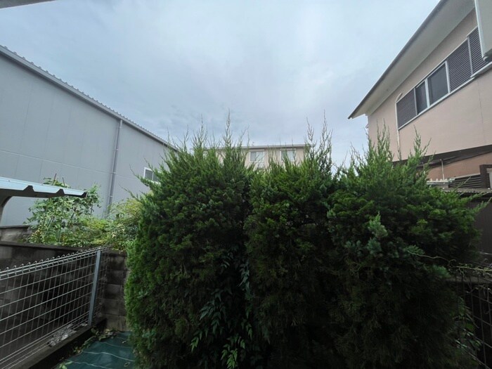 コモドＥＮＯＫＩの物件内観写真