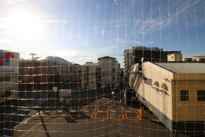 レガーレ長居公園の物件内観写真