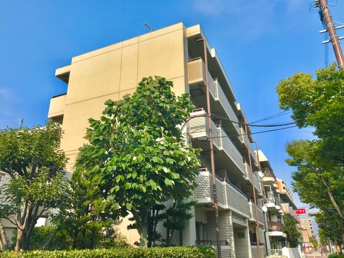 ３Mドリームハイツの物件外観写真