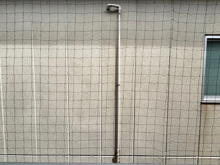 Ｌｉｓａ墨染の物件内観写真